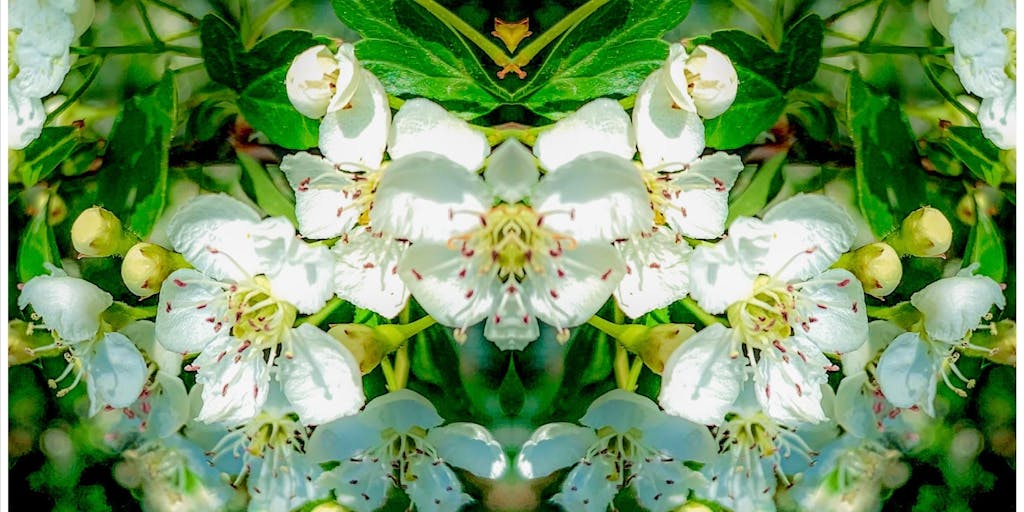 YouTube Görüntülenmeleriyle Nasıl Para Kazanılır? - YouTube İş Ortaklığı Programı 